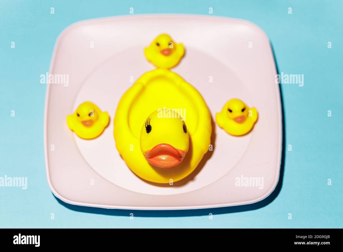 Yellow rubber ducks in a pink plastic plate on a blue background Stock Photo