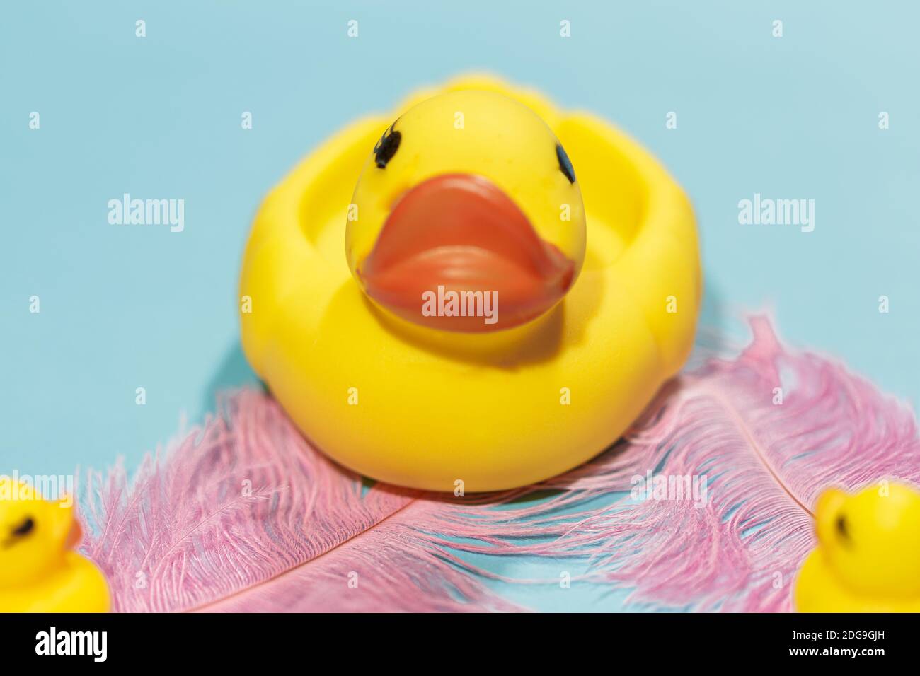 Yellow rubber duck on two soft pink feathers on a blue background Stock Photo