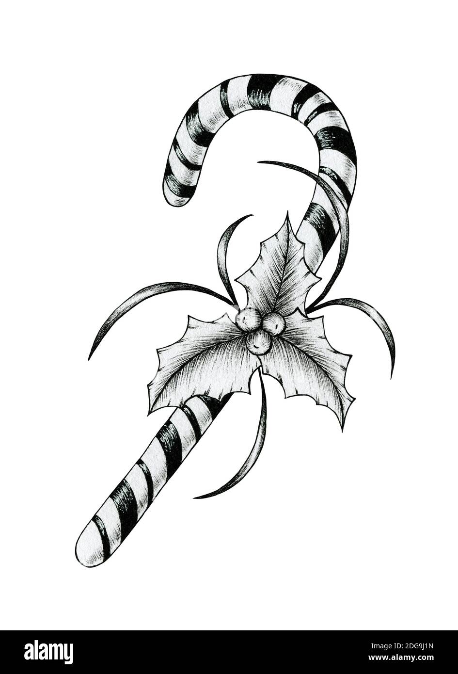 Christmas candy cane sketch isolated on white, vintage Christmas candy cane  decorated with holly and berries, black and white Christmas decoration  Stock Photo - Alamy