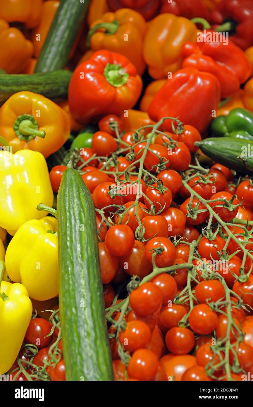 Bunter Gemüsekorb mit roten Paprika, Strauchtomaten, grünen Gurken, gelben Paprika, Stock Photo