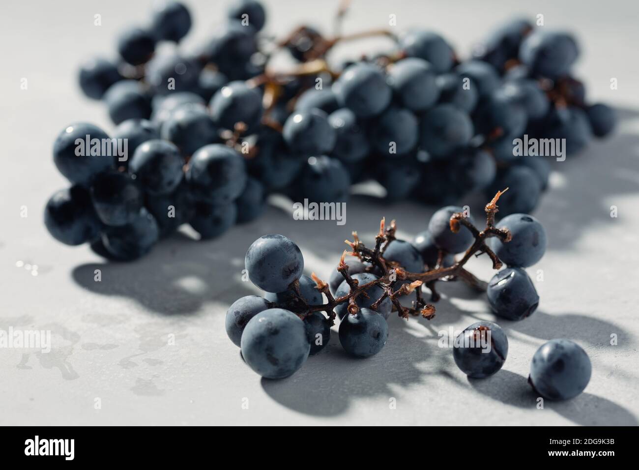 Isabella grape hi-res stock photography and images - Alamy