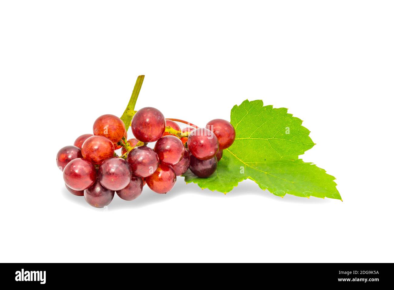 Bunch of red grapes with leaf Stock Photo