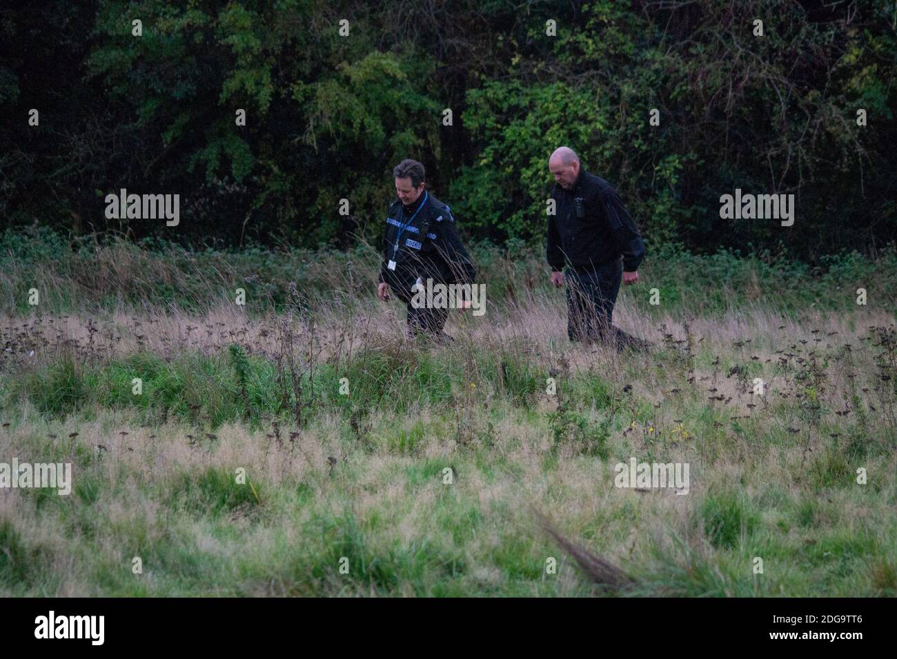 Specialist officers from West Midlands Police wading through the overgrowth on Newbold Comyn, where a woman's body was found Thursday 29th October. Anthony Russell, 38, was later charged with murder along with two others who were killed in Coventry earlier in the year. Stock Photo