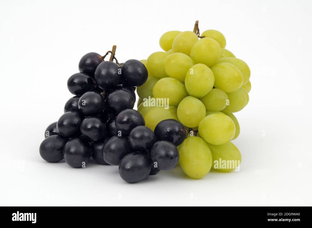 Rote und weisse Weintrauben Stock Photo