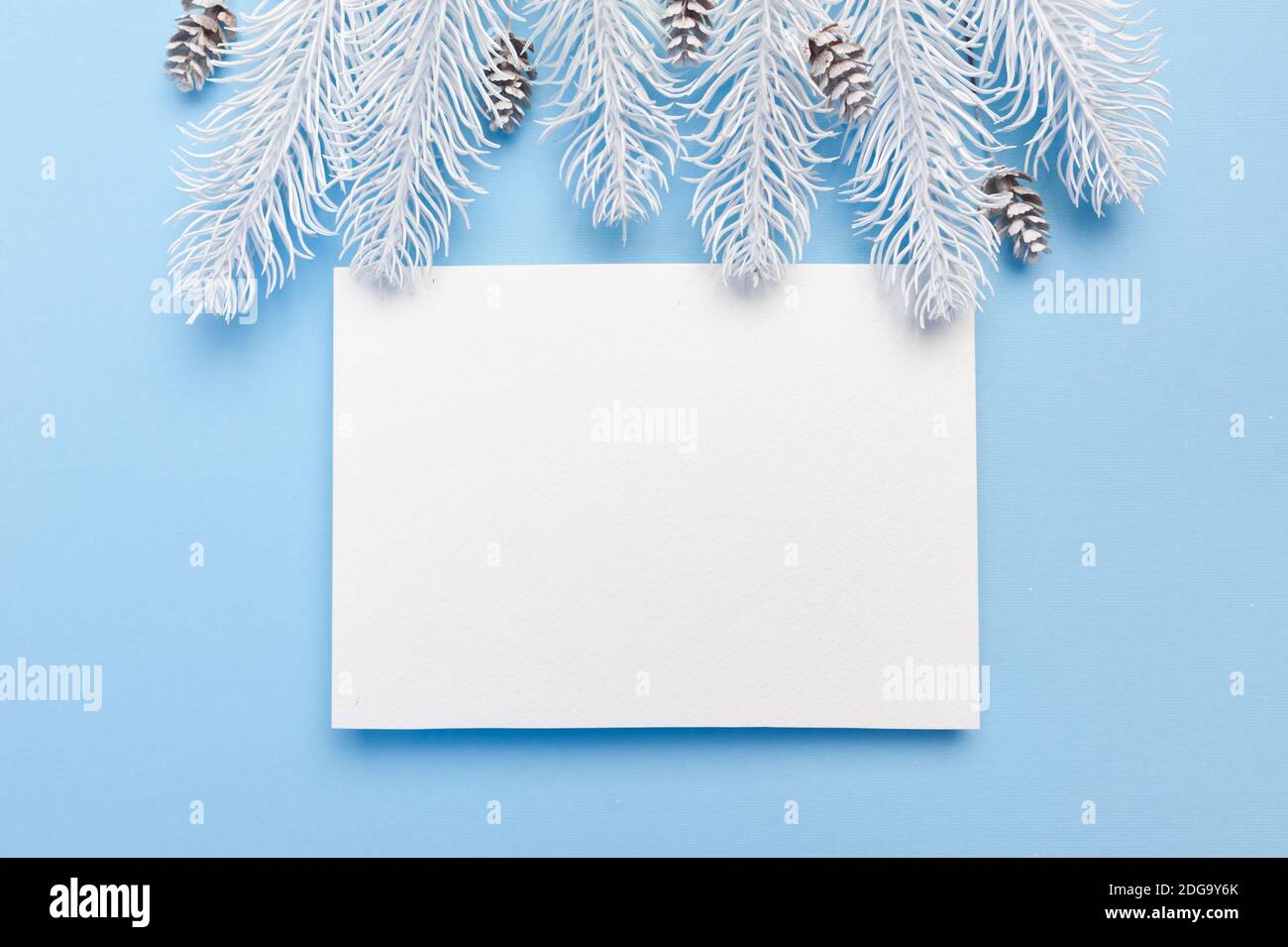 Merry Christmas and Happy New Year greeting card branches frame or ...