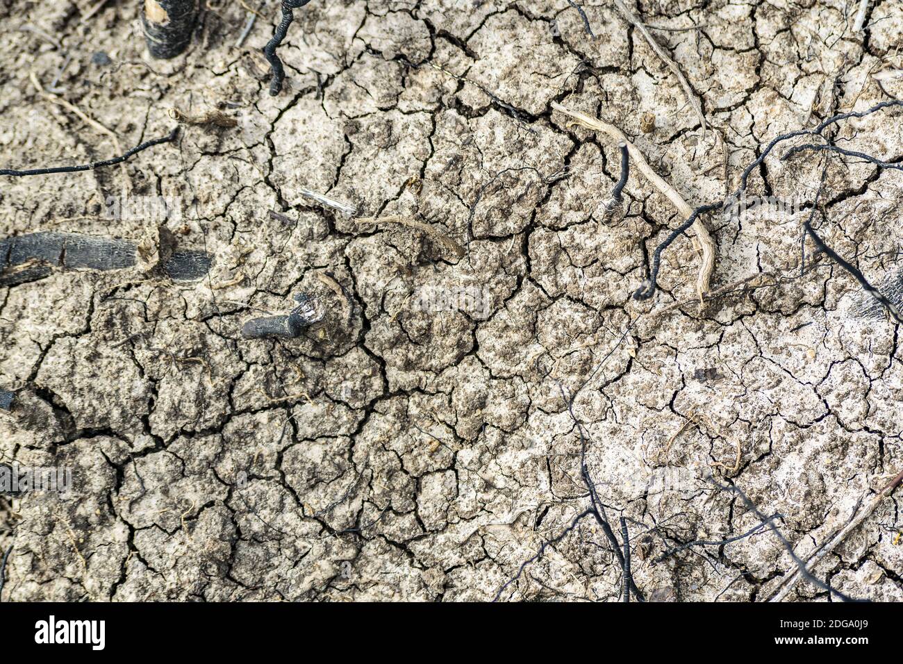 Dry Soil Texture Background Stock Photo