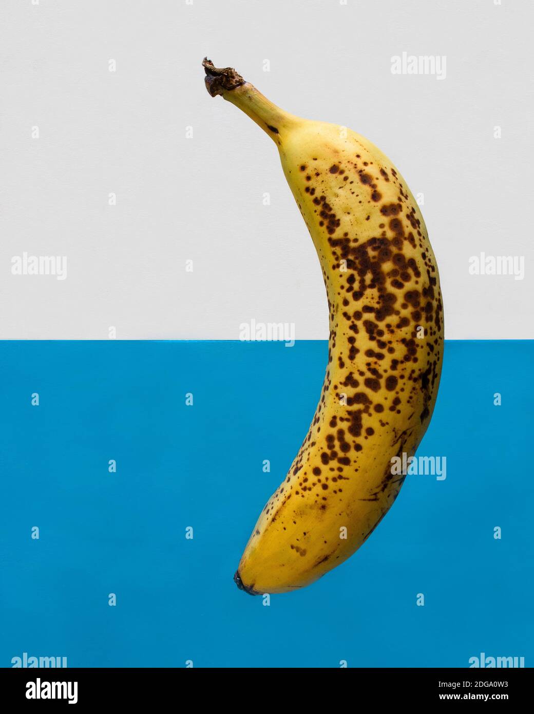 Single ripe banana with peel isolated on half blue and half white background. Pop art style Stock Photo