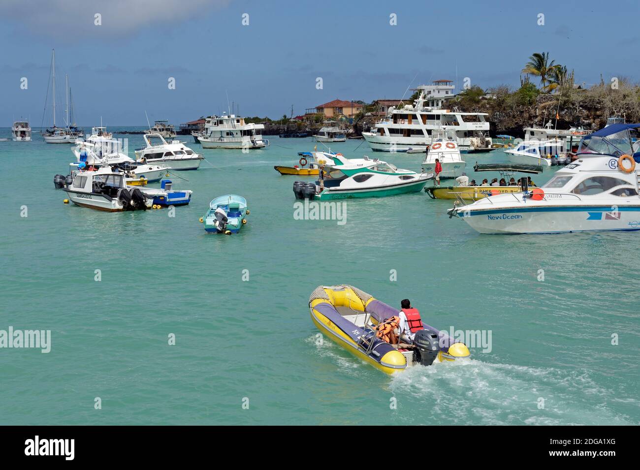 Boote und Kreuzfahrtschiffe im Hafen von Puerto Ayora,  Insel Santa Cruz, Indefatigable Island, Galapagos Archipel, Unesco Welterbe,  Ecuador, Suedame Stock Photo