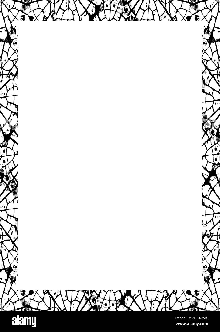 White Frame with Decorated Borders Stock Photo
