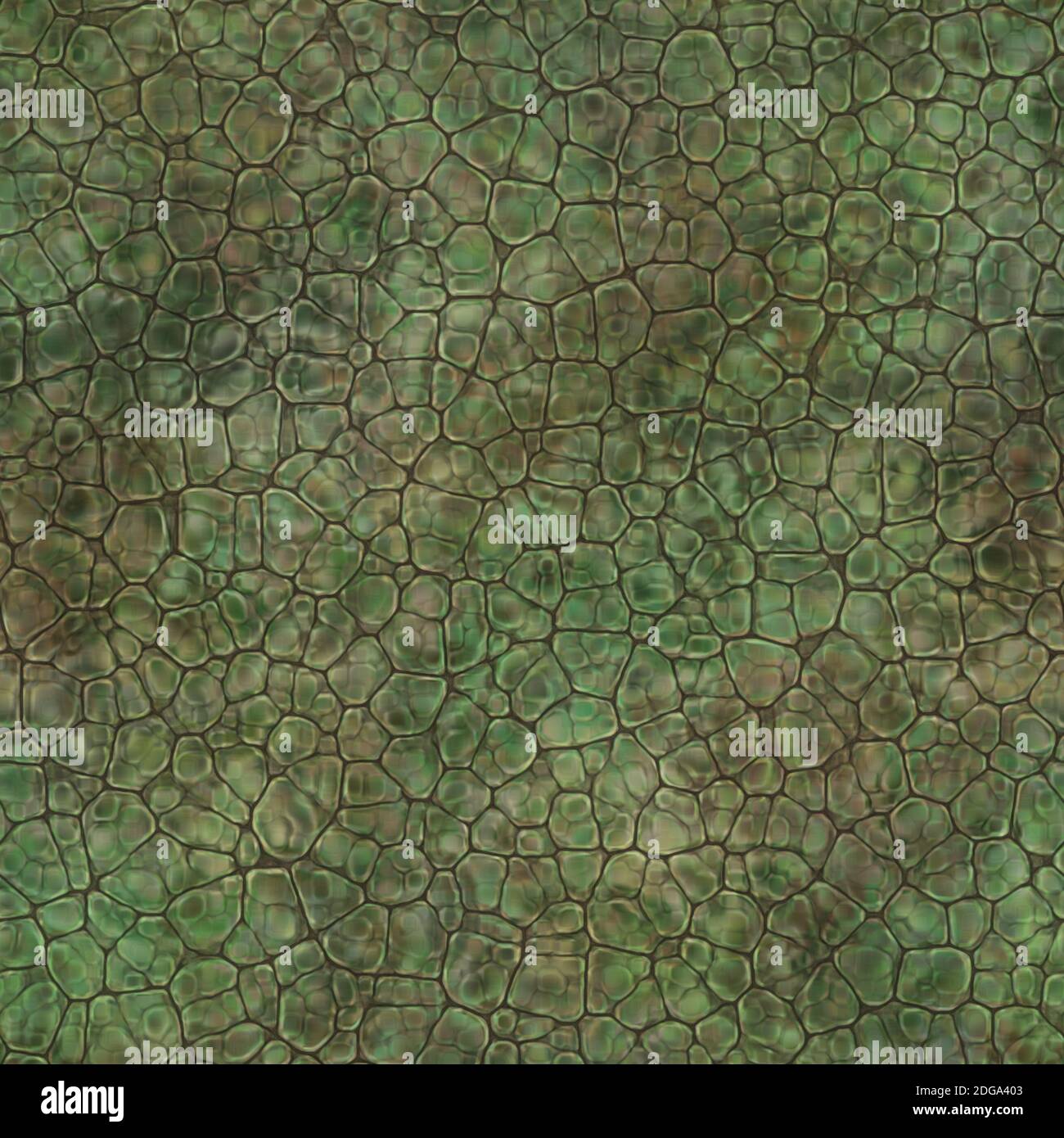 Cartoon seamless texture of color fantasy cobble stone ground pavement. Soft shaped rocks as background - illustrated seamless texture Stock Photo - Alamy Cartoon seamless texture of color fantasy cobble stone ground pavement. Soft shaped rocks as background - illustrated seamless texture Stock Photo - Alamy