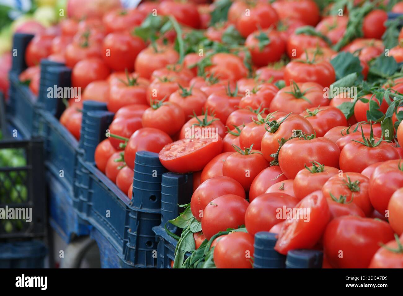 Boxes of ripe tomatoes at local market stall Stock Photo - Alamy