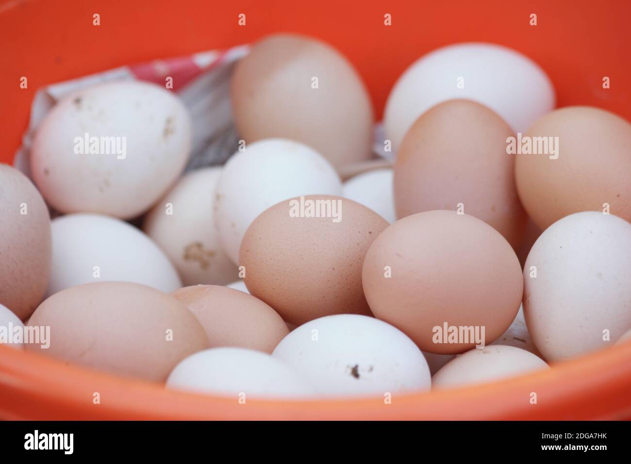 Fresh hen eggs at the market stall Stock Photo - Alamy