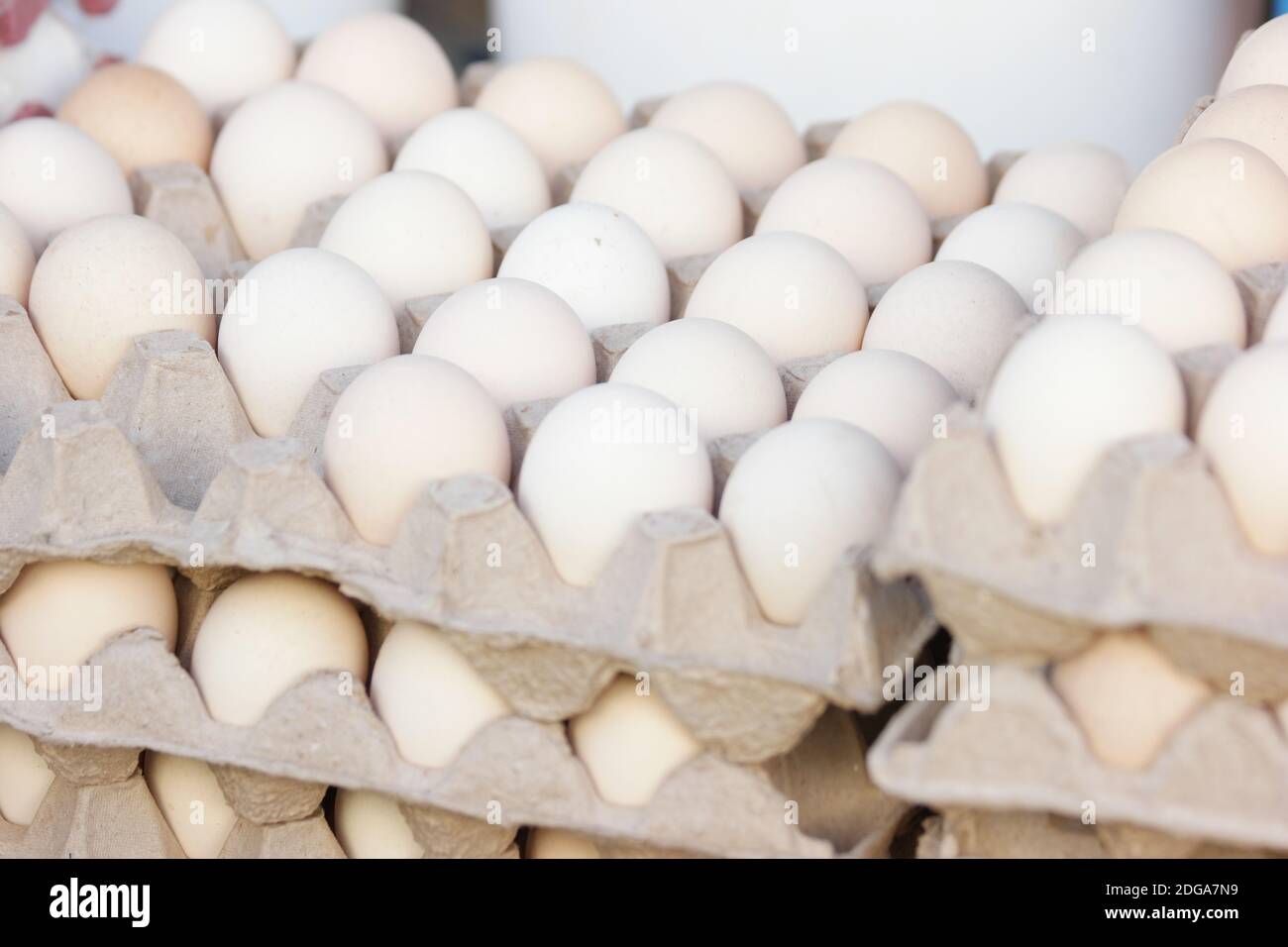 Chicken eggs in cardboard egg crate Stock Photo Alamy