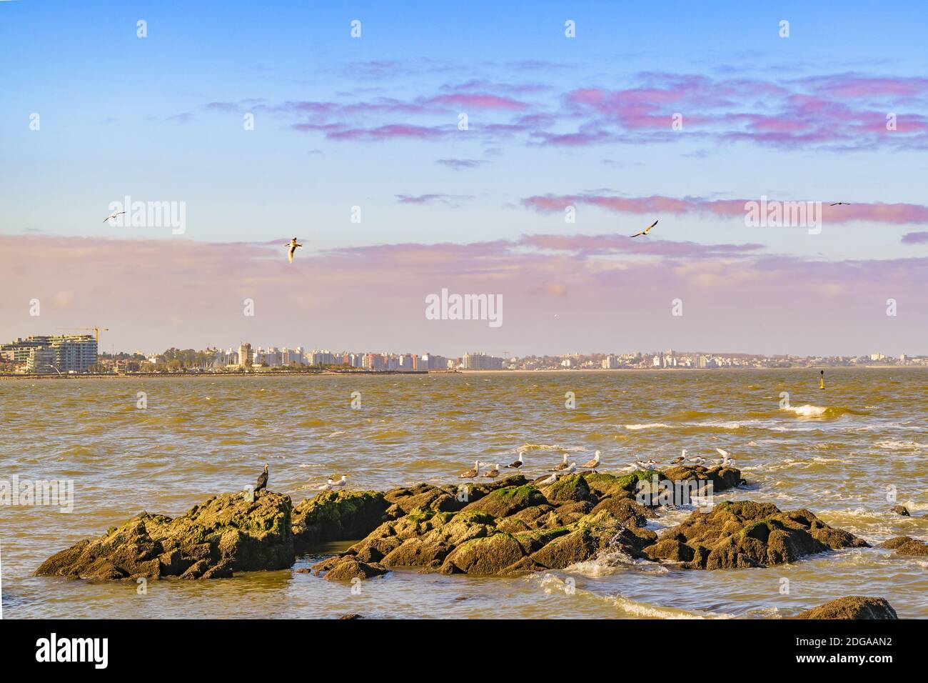 Landscape Coastal Scene at Montevideo City, Uruguay Stock Photo