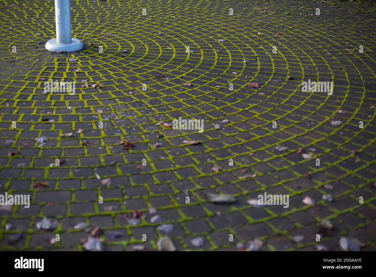 Cracks in concrete hi-res stock photography and images - Alamy