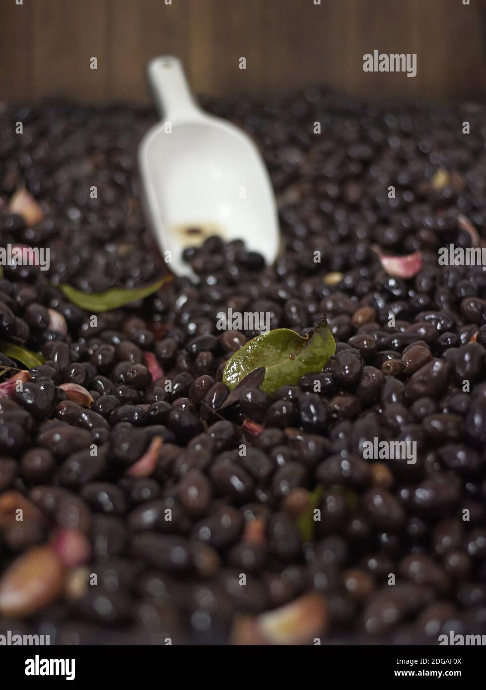 Kalamata olives Stock Photo