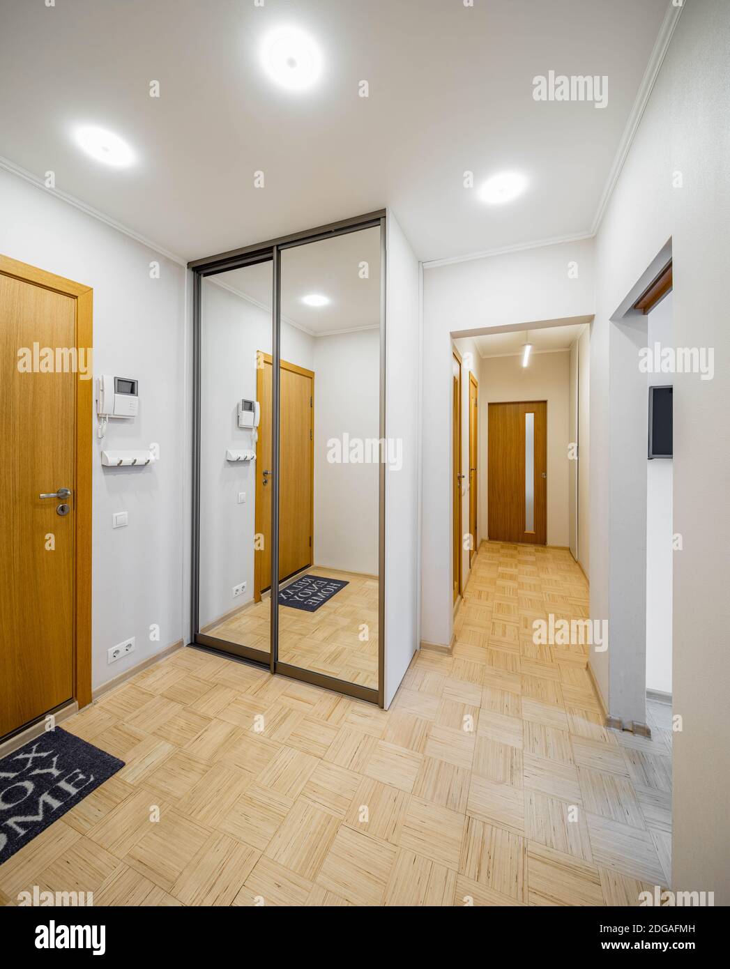 Contemporary interior of entrance hall in flat. Wooden doors. Wardrobe