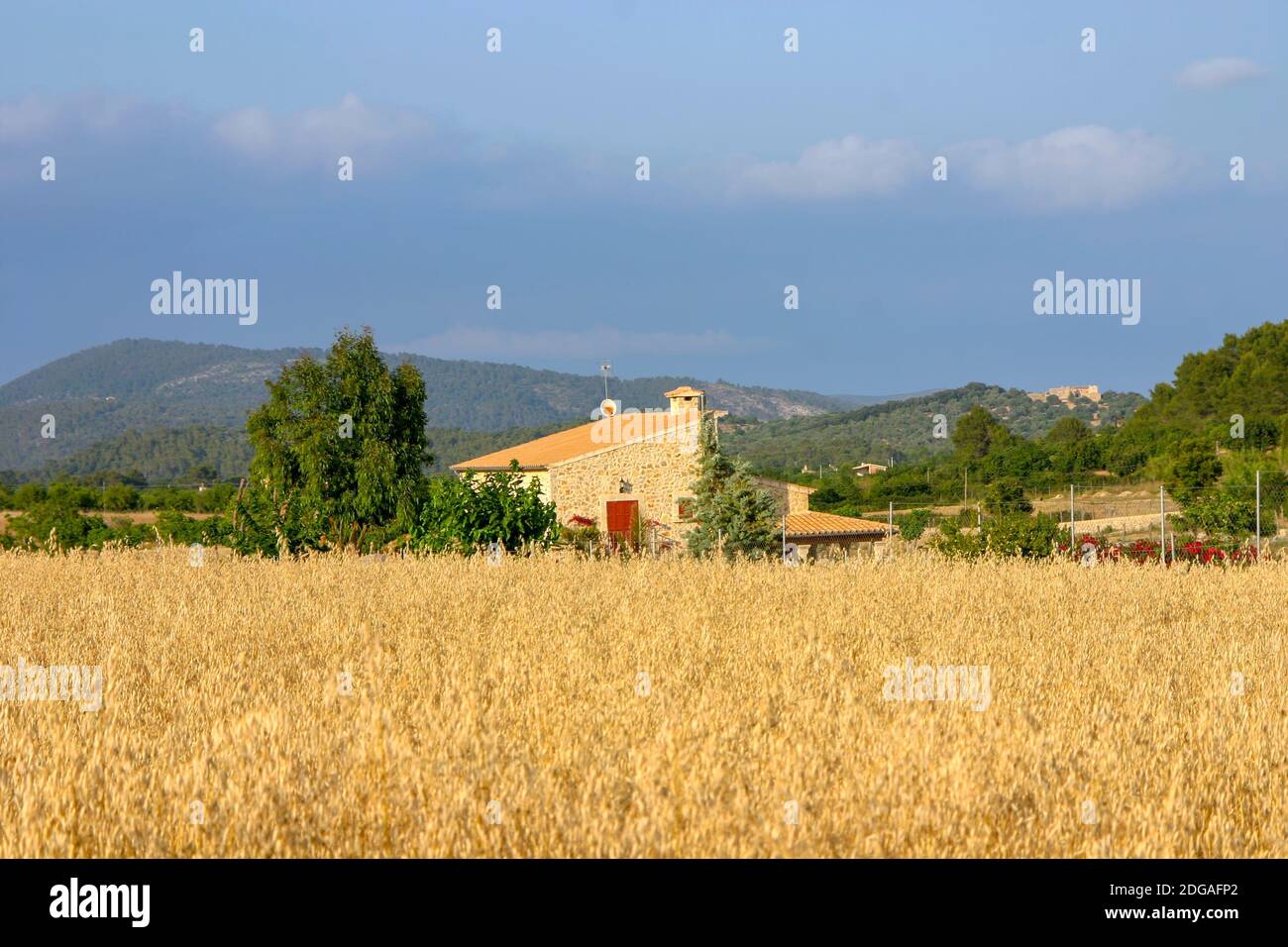 Landscape in Mallorca Stock Photo