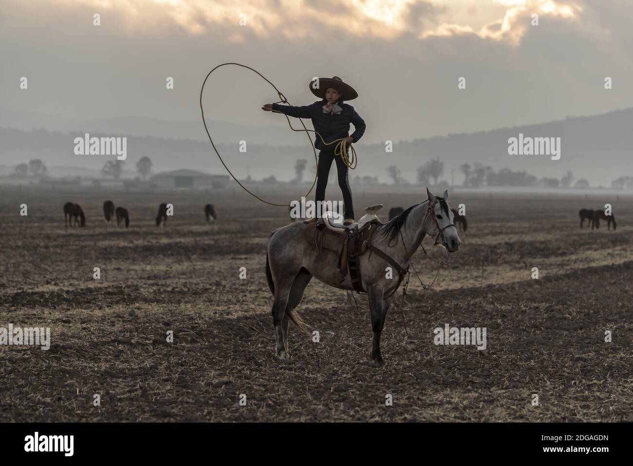 A Young Mexican Charro (Cowboy) Rounds Up A Herd of Horses Running ...