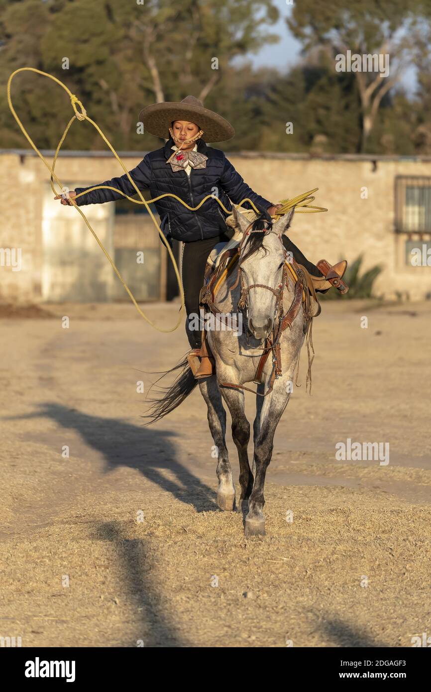 A Young Mexican Charro (Cowboy) Rounds Up A Herd of Horses Running ...