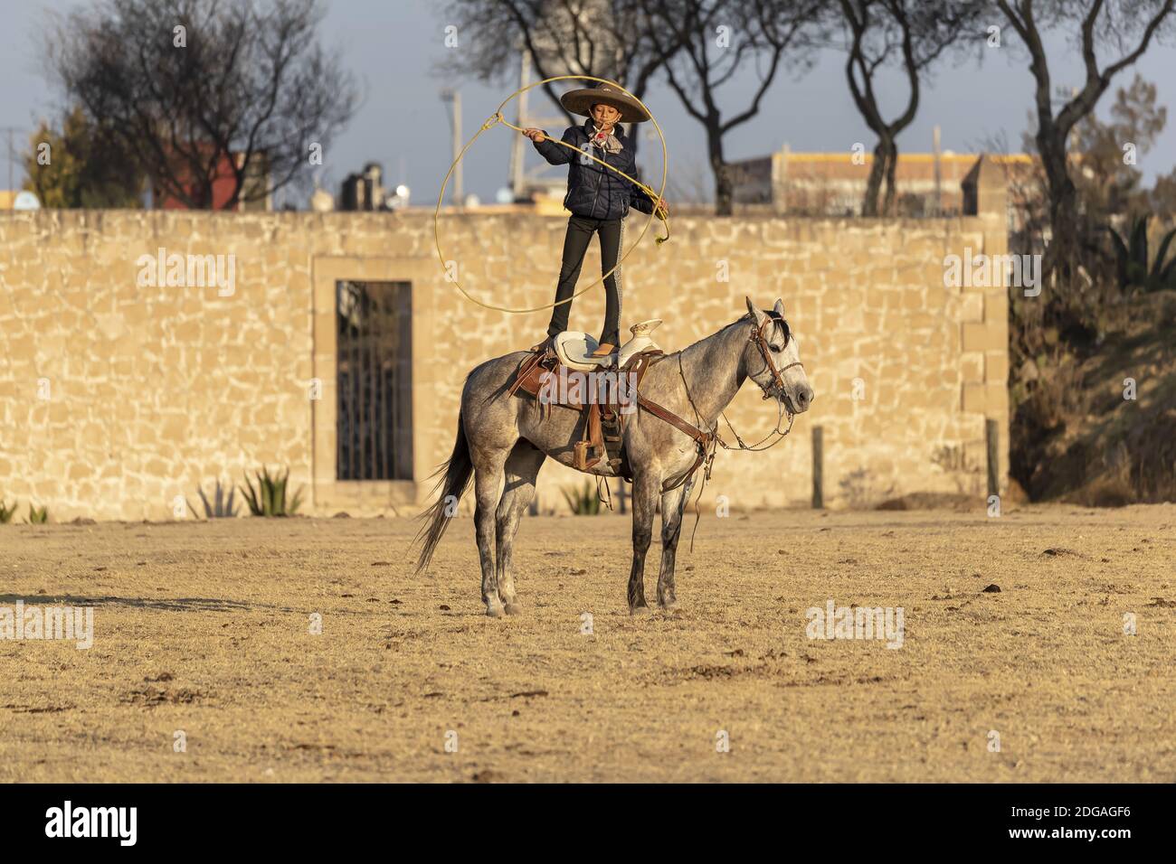 A Young Mexican Charro (Cowboy) Rounds Up A Herd of Horses Running ...