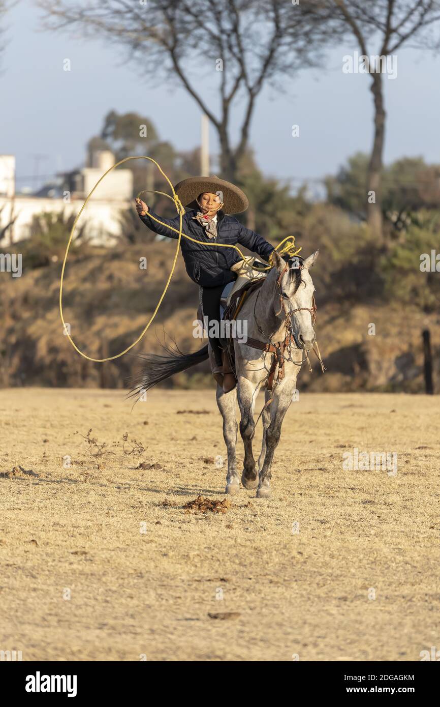 A Young Mexican Charro (Cowboy) Rounds Up A Herd of Horses Running ...