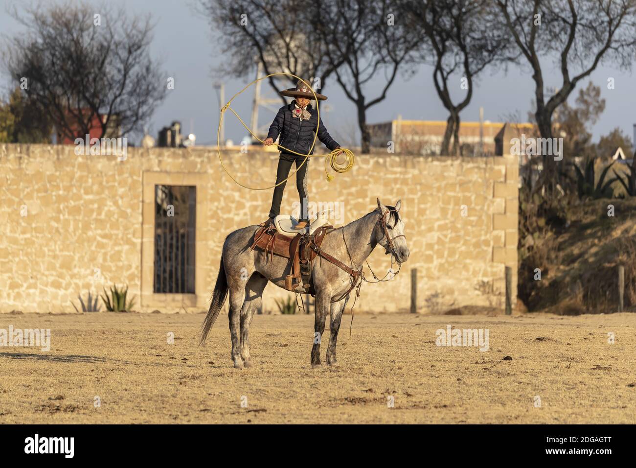 A Young Mexican Charro (Cowboy) Rounds Up A Herd of Horses Running ...