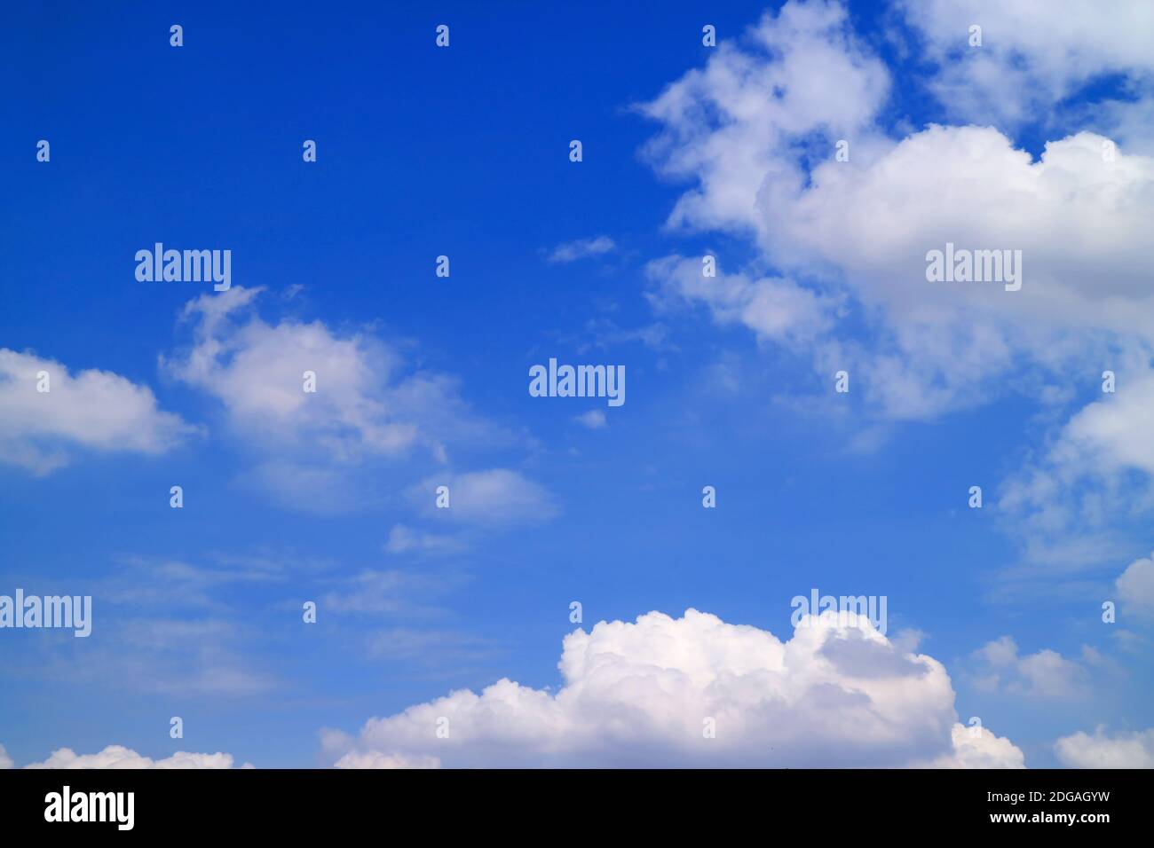 Vibrant Blue Sky with Floating Pure White Cumulus Clouds Stock Photo ...