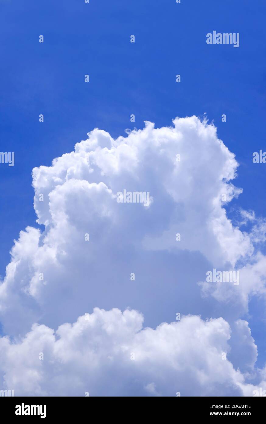 Vertical Image of Pure White Cumulus Clouds on Vibrant Blue Sunny Sky ...