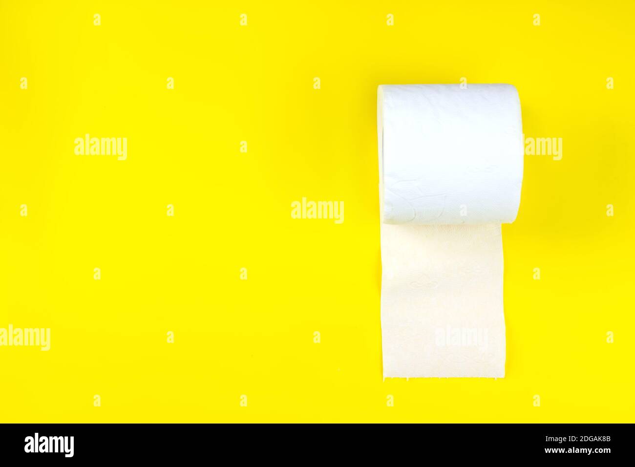 Paper Tube of Toilet Paper, Isolated on White Background Stock Image -  Image of closet, focus: 159417247