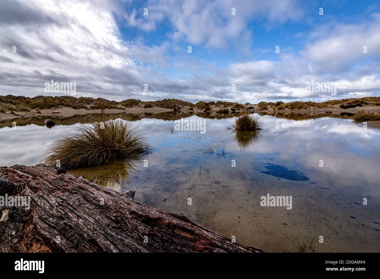 Reflections in a Rainwater Pond, Sand Dunes, Oregon, USA Stock Photo ...