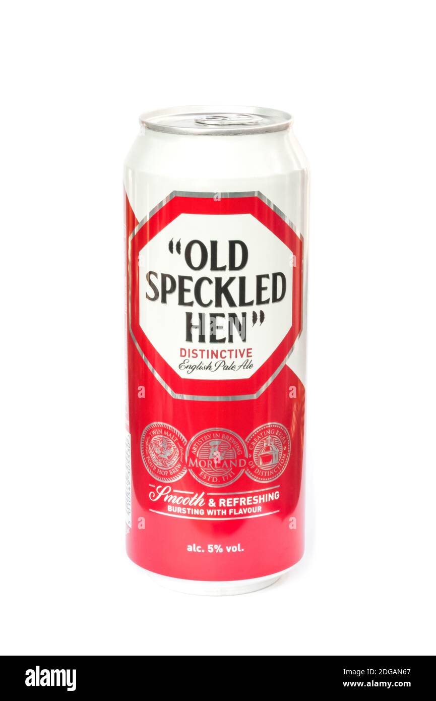 Can of Old Speckled Hen English Pale Ale brewed by Morland/Greene King. It was first brewed in 1979 to commemorate the 50th anniversary of the British Stock Photo