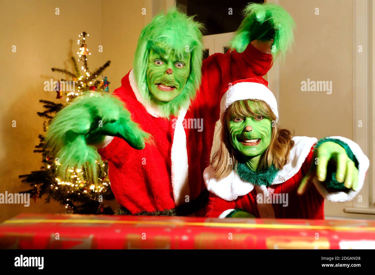 GEEK ART - Bodypainting and Transformaking: 'The Grinch steals Weihafterten' Photoshooting with Enrico Lein as Grinch and Maria Skupin as Frau Grinch in the Villa Czarnecki. Hamelin, December 7th, 2020 - A project by the photographer Tschiponnique Skupin and the bodypainters and transformers Enrico Lein | usage worldwide Stock Photo