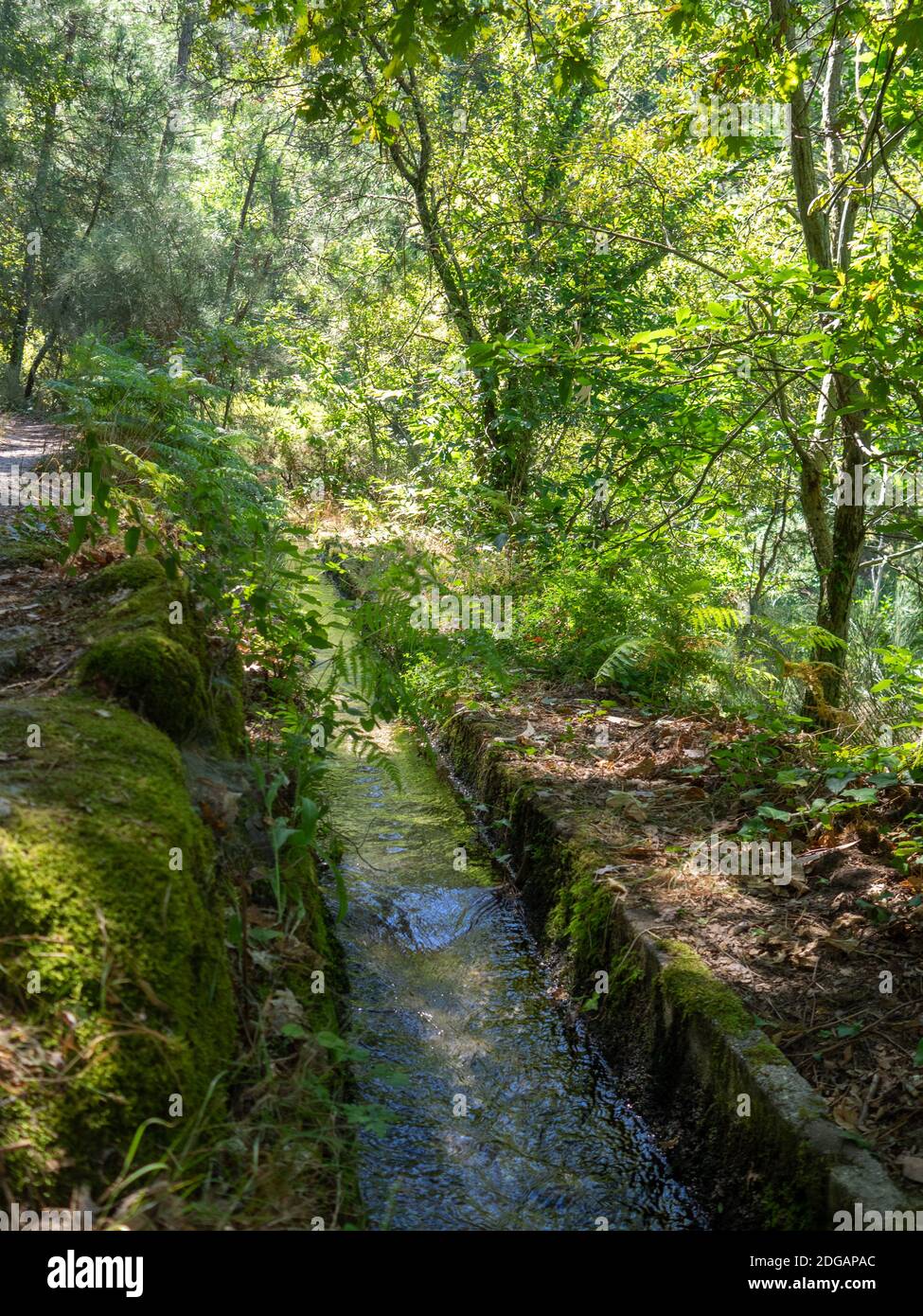 Water channel along PR10 SEI walking route in Serra da Estrela, Portugal Stock Photo