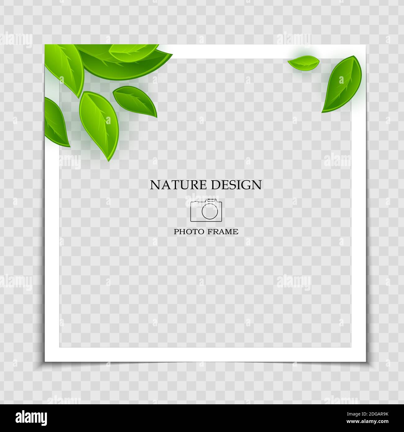 Normal Background Frame Natural Background Photo Frame Template with green leaves for post in ...