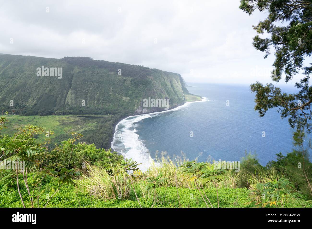 Waipio valley with coast and cliffs, viewed from above on a cloudy day - Hawaii island, Hawaii, USA Stock Photo