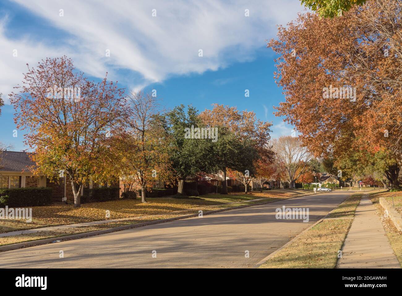 Clean sidewalk and quite residential street with row of single family