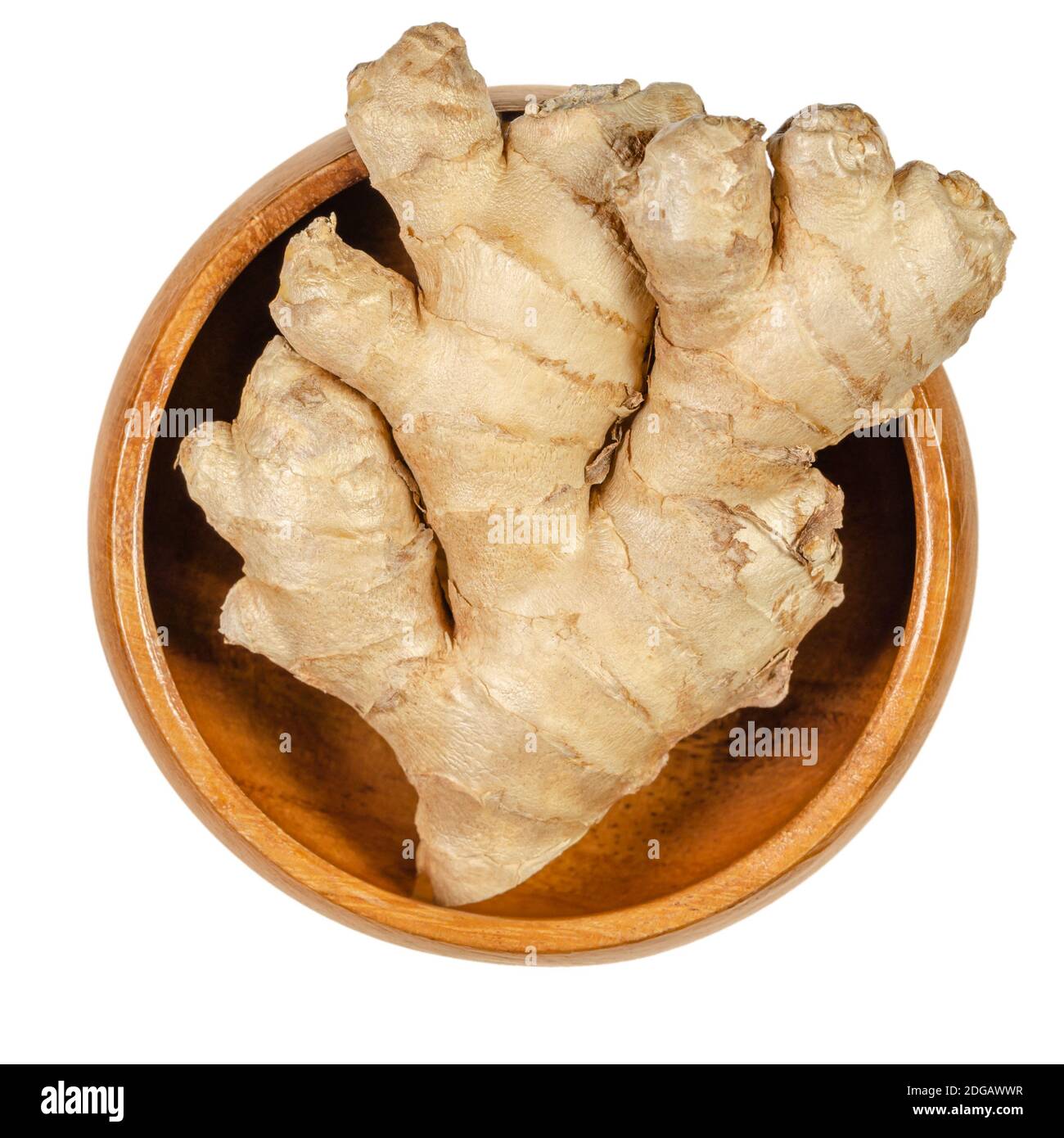 Fresh ginger root in a wooden bowl. Juicy and fleshy rhizome of Zingiber officinale, used as a fragrant kitchen spice and as folk medicine. Stock Photo