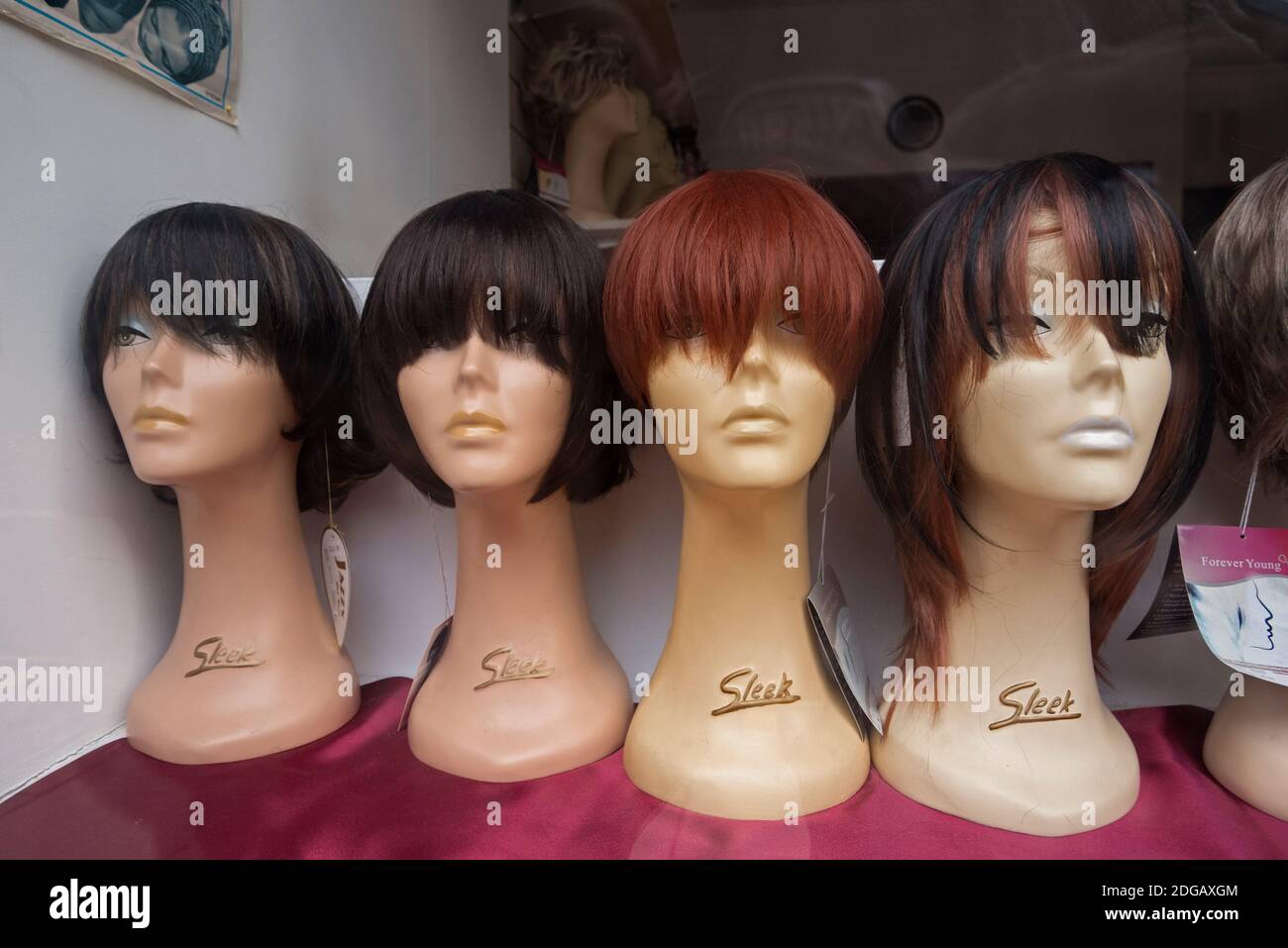Female mannequin heads with wigs on display in a shop window in Edinburgh, Scotland, UK. Stock Photo