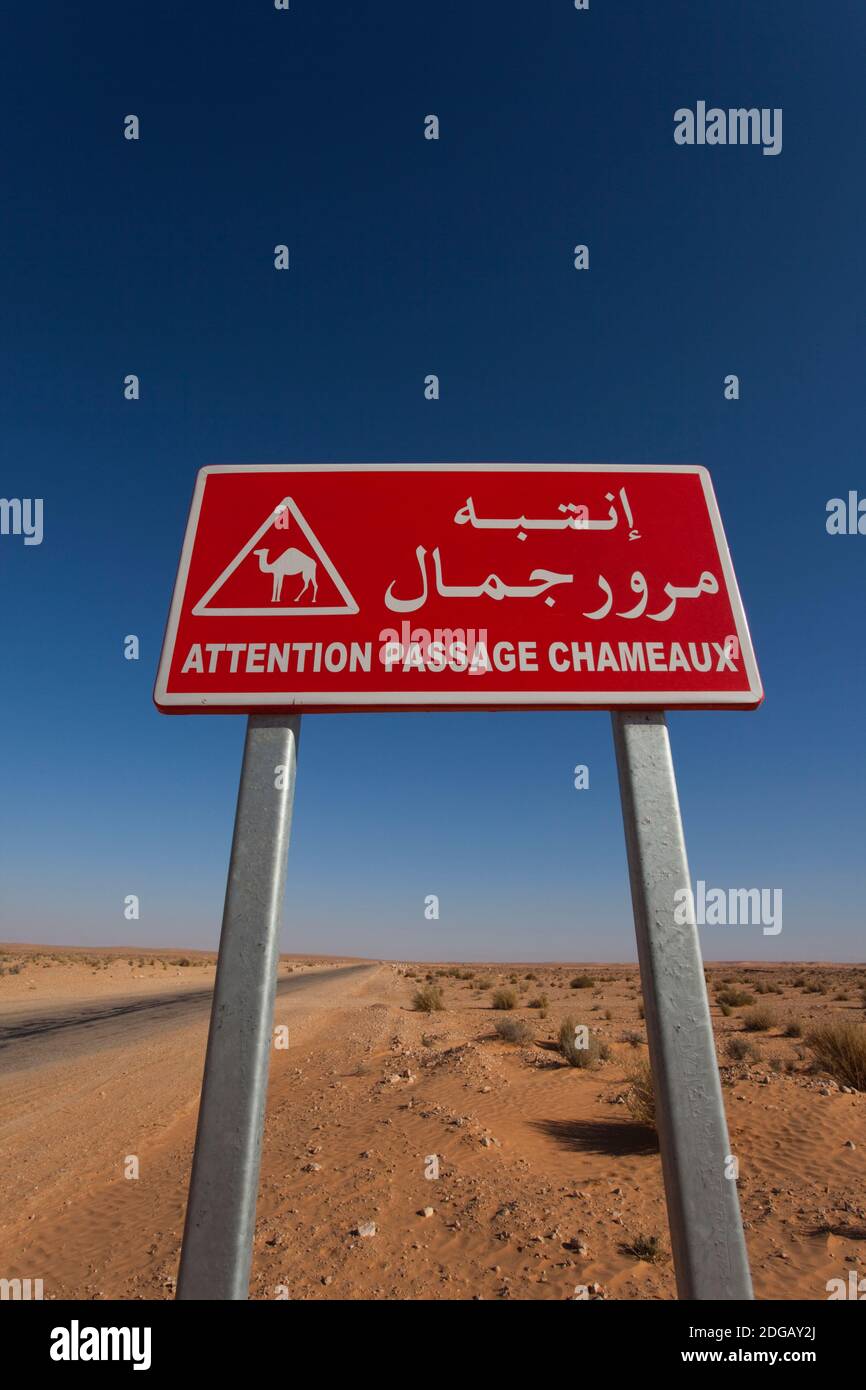 Camel crossing sign in a desert, Grand Erg Oriental, Ksar Ghilane, El Ksour, Kef Governorate, Tunisia Stock Photo