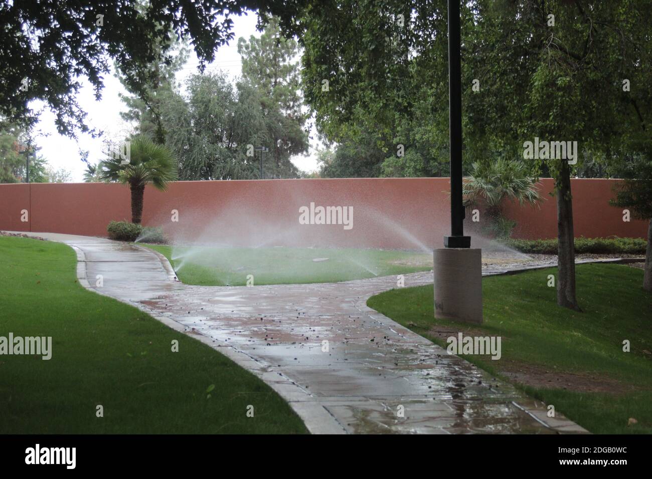 Lawn sprinkler watering grass patch between branching paths before a red wall. Business park with extensive tree cover. Stock Photo
