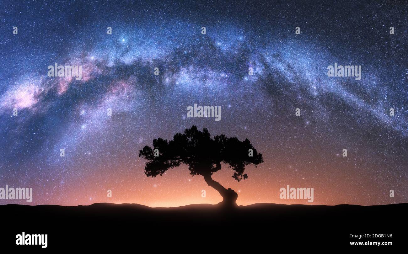 Alone tree and Milky Way arch at night. Landscape Stock Photo