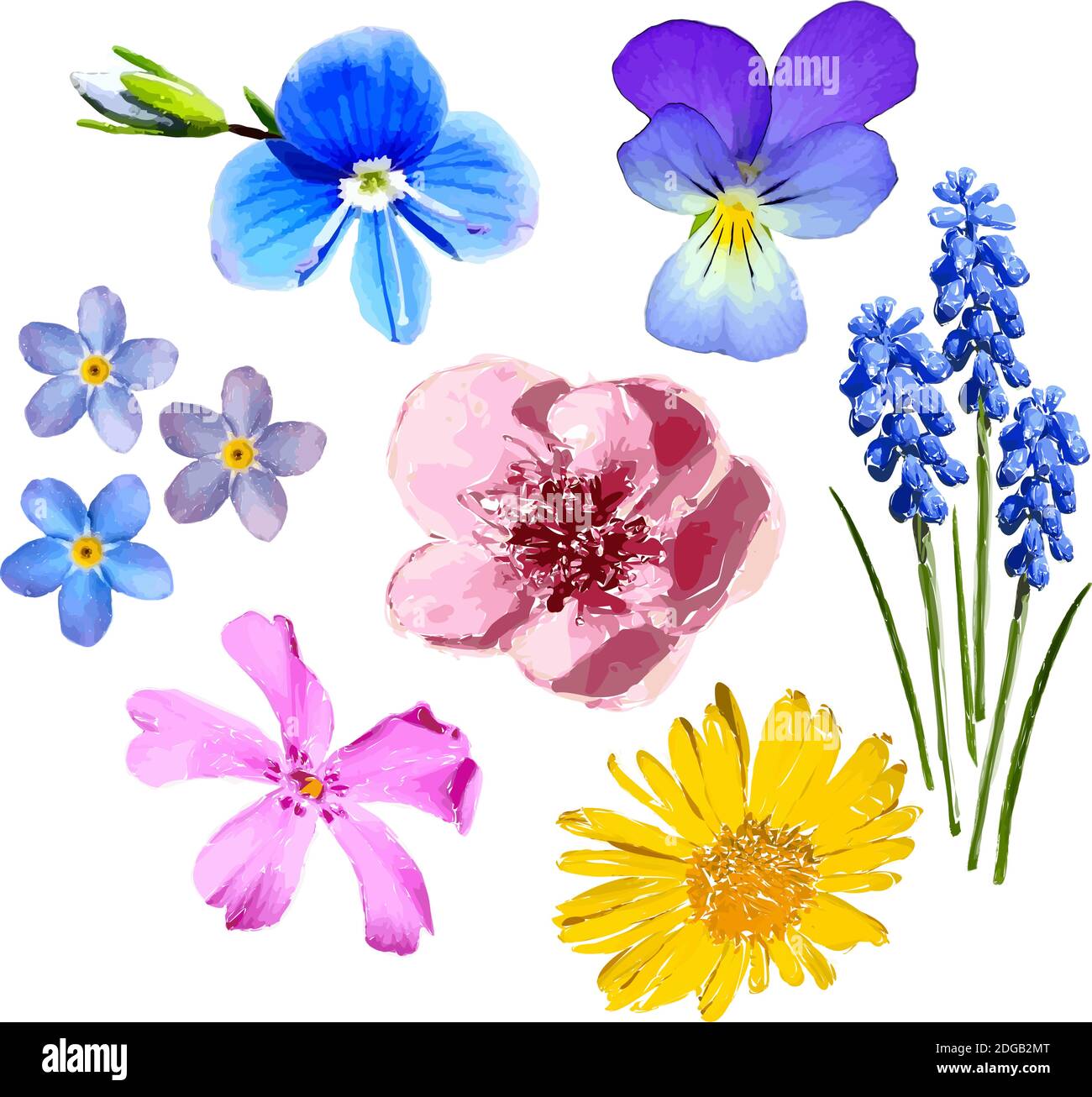 Set of colorful spring flowers isolated on white background ...