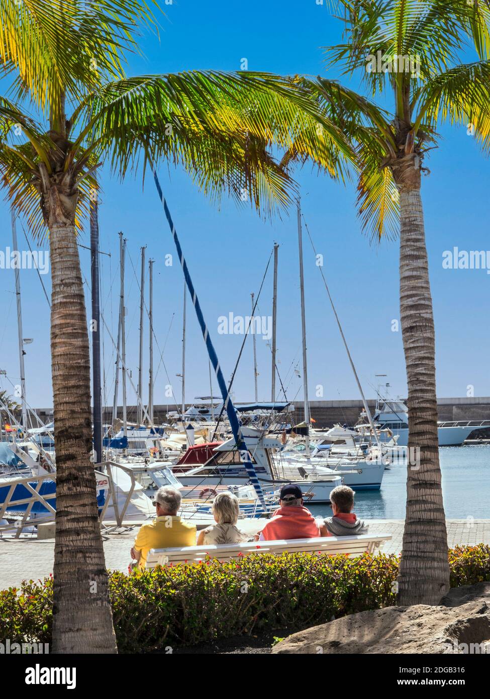 Mature Group Vacation View Elderly Pensioners Holiday older holidaymakers abroad Seniors seated Winter Sun Holiday Group of mature pensioner friends holidaymakers sitting on a sunny bench framed by palm trees enjoying marina view Puerto Calero Lanzarote Canary Islands Spain concept future finance pension income wills lifestyle Stock Photo