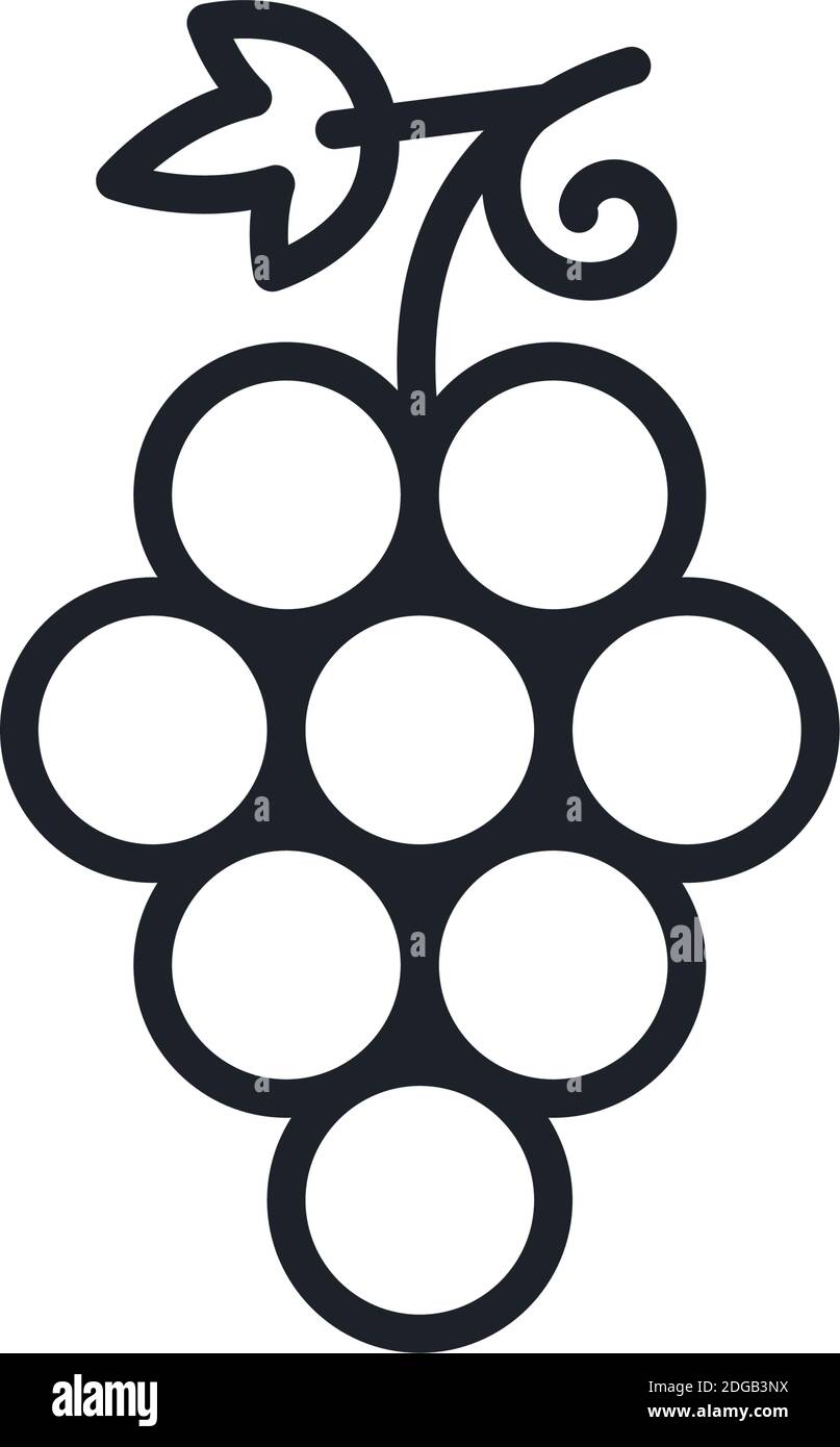 Grapes. Grape icon. Vector linear icon, contour, shape, outline