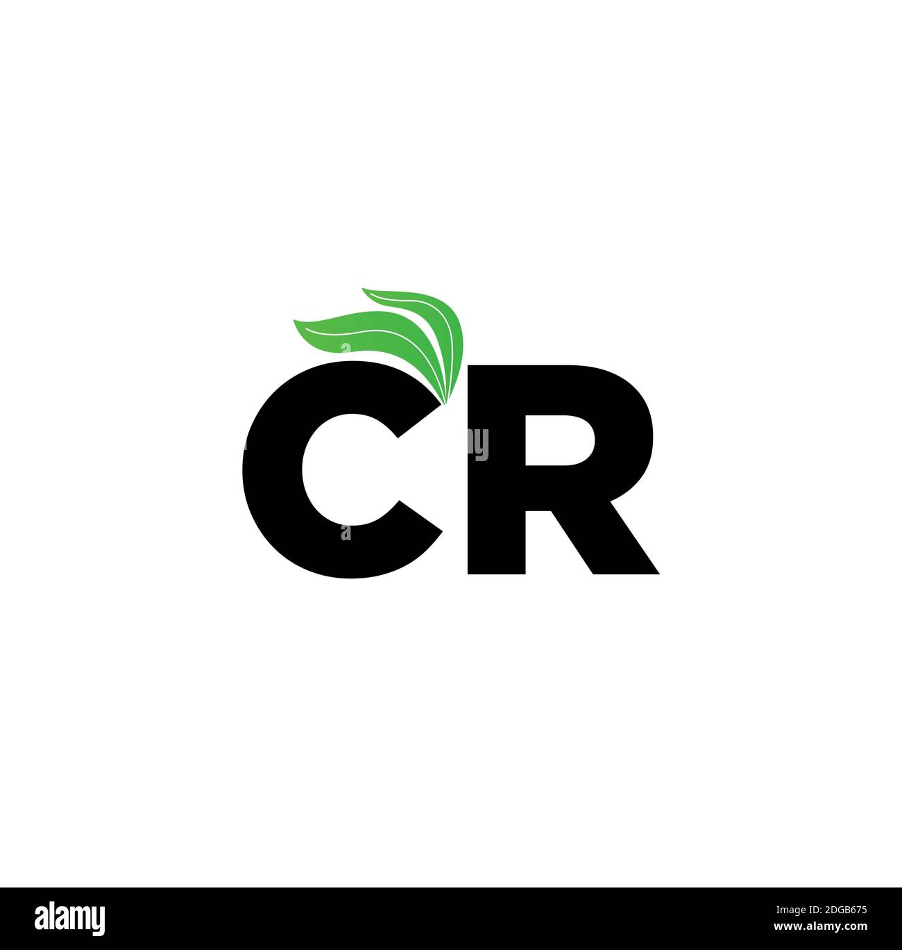 Letter CR with green leaves. C R Monogram Stock Vector