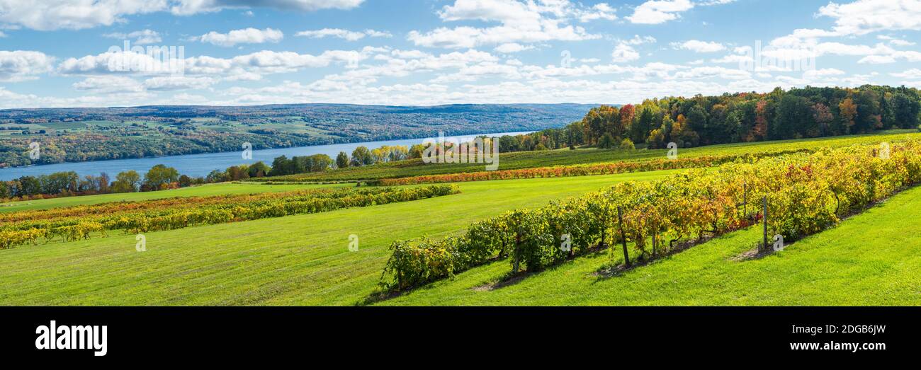 Gale Gala Apples - Fulkerson Winery - Finger Lakes Winery - Seneca