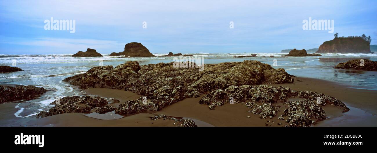 Rock formations on the beach, Ruby Beach, Olympic National Park, Olympic Peninsula, Washington State, USA Stock Photo