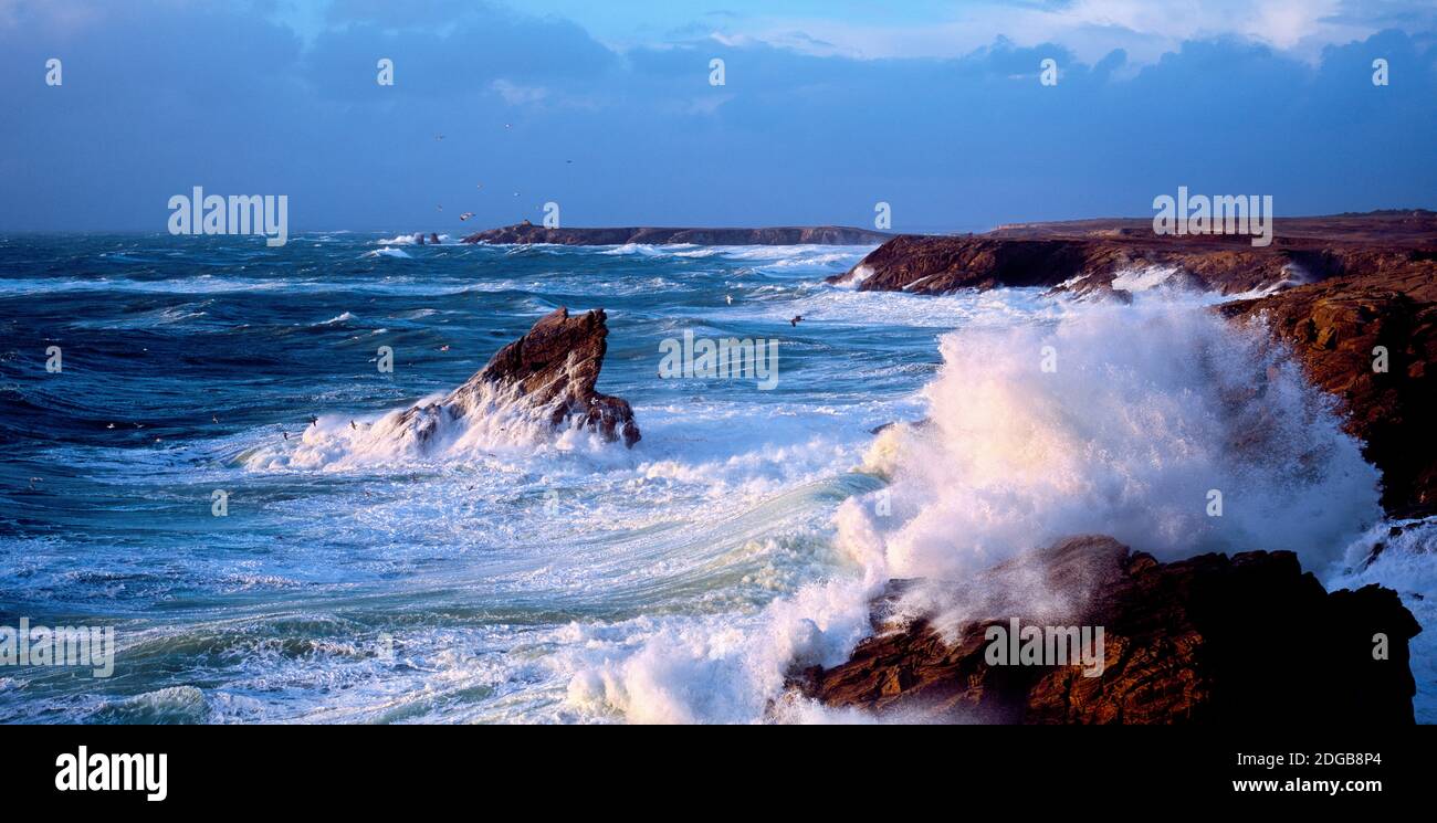 Waves crashing on rocks at wild coast, Quiberon, Morbihan, Brittany, France Stock Photo