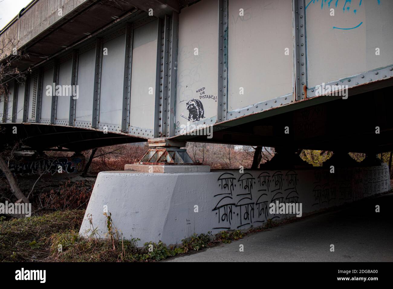 Trash panda graffiti on the underside of a bridge on the lower don river Stock Photo